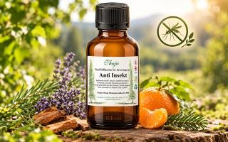 Anti Insekt, Aromaspray zum Nachfüllen, 100 ml