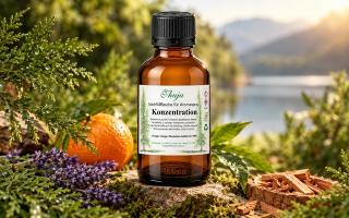 Konzentration, Aromaspray zum Nachfüllen, 100 ml